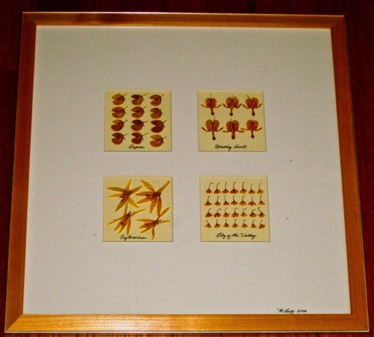 Mixed Inset